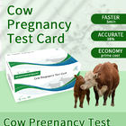 Cow early pregnancy rapid test card supplier