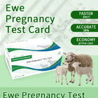 Sheep Early Pregnancy Test Card Instructions supplier