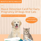 Dog, cat early pregnancy test card instruction manual supplier