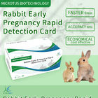 Rabbit Early Pregnancy Rapid Detection Card Product manual supplier