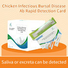 Chicken Infectious Bursal DiseaseAb Rapid Detection Card supplier