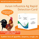 Avian Influenza Virus Antibody Rapid  Test Card supplier