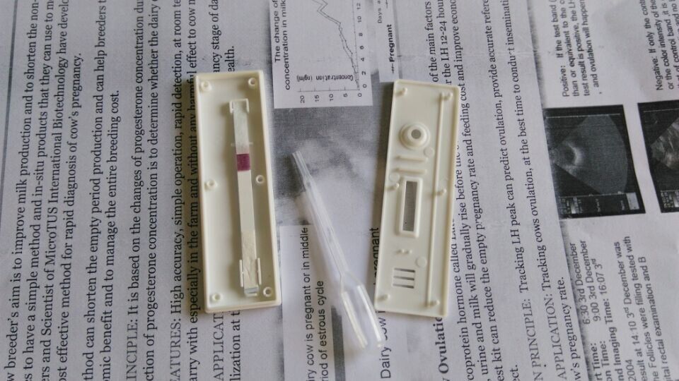 Quick Interpretation Cattle Pregnancy Test Kit , Animal Pregnancy Test Kit supplier
