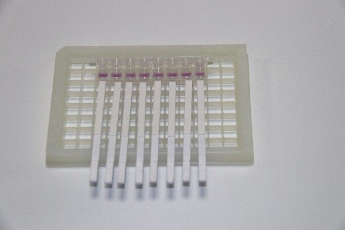 Thiamphenicol (TPCQ) Antibiotic Milk Test Kits Colloidal Gold Rapid Test Kit supplier