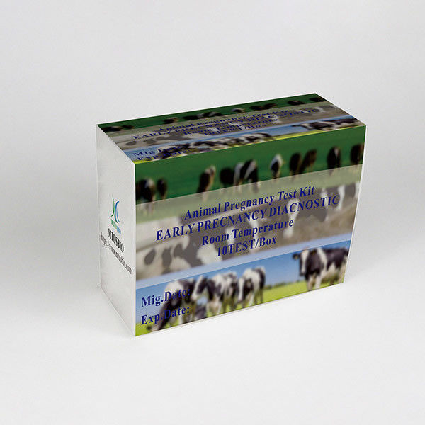 Animal  Convenient Cattle Pregnancy Test Kit , Sheep rapid diagnostic test Goat Pregnancy Test card supplier