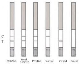 Colloidal Gold Antibiotic Milk Test Kits Flufenicol Quick Test Strip