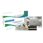 Aflatoxin M1 fast test card operation instructions supplier