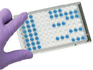 Chloramphenicol (CAP) ELISA Test Kit , Medical Diagnostic Test Kits supplier