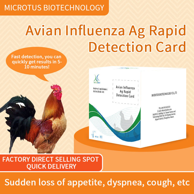 Avian Influenza Virus Antibody Rapid  Test Card supplier